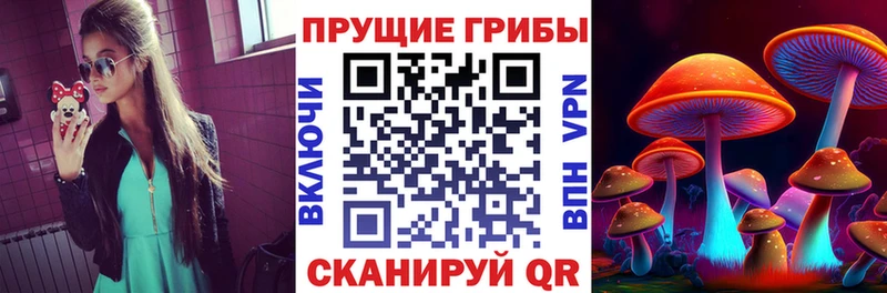 Галлюциногенные грибы MAGIC MUSHROOMS  Северская 
