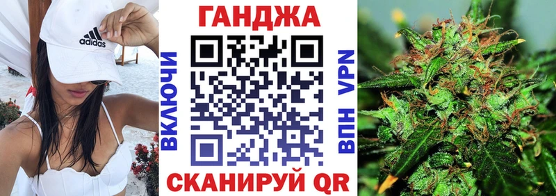 Бошки Шишки семена  Северская 